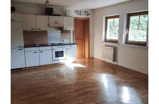 Wohnung mieten in 5101 Bergheim, Gemütliche Garconniere in Bergheim