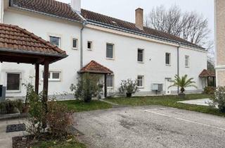 Büro zu mieten in 2483 Ebreichsdorf, ERSTBEZUG nach RENOVIERUNG + BÜRO + SCHÖNER BLICK in den GARTEN!