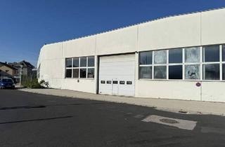 Gewerbeimmobilie mieten in 2700 Wiener Neustadt, große Lagerhalle mit ca. 5,6 Meter durchgehender Höhe zu vermieten