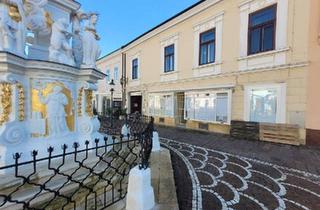 Geschäftslokal mieten in 7000 Eisenstadt, schönes Geschäftslokal in der Fußgängerzone zu vermieten