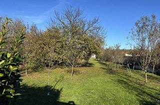 Grundstück zu kaufen in 7350 Oberpullendorf, Baugrundstück ca. 1.486 m² in Mitterpullendorf zu verkaufen - Verwirklichen Sie Ihren Traum vom Eigenheim!