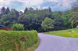 Grundstück zu kaufen in 4582 Spital am Pyhrn, Großes Grundstück am Sonnenhang