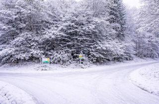 Grundstück zu kaufen in 4582 Spital am Pyhrn, Großes Grundstück am Sonnenhang