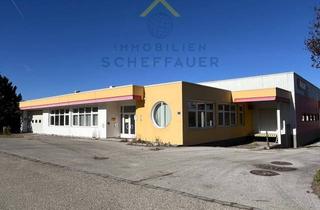 Gewerbeimmobilie kaufen in 3100 Sankt Pölten, St. Pölten Gewerbe/Industrie/Lager