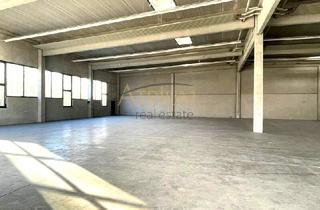 Immobilie mieten in 2483 Ebreichsdorf, Hochwertige Gewerbe/ Lager/ Produktionshalle mit 810m² Nutzfläche + 40m² Bürotrakt.