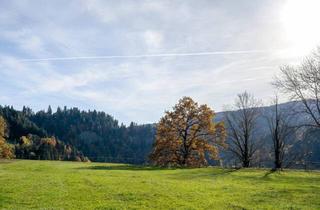 Grundstück zu kaufen in 6305 Itter, Sonniges Grundstück am Waldrand von Itter mit Südblick