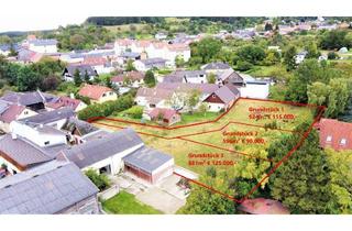 Grundstück zu kaufen in 2753 Dreistetten, [06691] Baugründe in ruhiger Siedlungslage