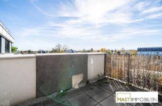 Wohnung mieten in Donau, 1220 Wien, Ab Februar 2026! 2-Zimmer-Wohnung mit Südbalkon nahe der Alten Donau