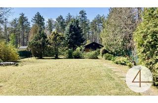 Grundstück zu kaufen in 2822 Bad Erlach, 10Minuten nach Wiener Neustadt - 804m² Baugrundstück - direkt neben dem Wald - Ruhelage - nahe Golfplatz & Therme