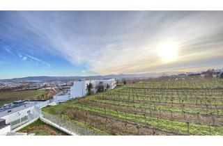 Wohnung mieten in Bründlgraben, 3500 Krems an der Donau, Neubau Erstbezug Schöne Drei Zimmer Wohnung mit Balkon und Süd-Ost Fernblick