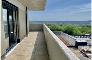 Wohnung mieten in Bründlgraben, 3500 Krems an der Donau, Neubau Erstbezug Schöne Drei Zimmer Wohnung mit Balkon und Süd-Ost Fernblick