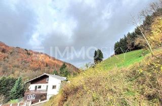 Mehrfamilienhaus kaufen in 4040 Linz, Geräumiges Sacherl mit Pool auf über 1 Hektar Grund!