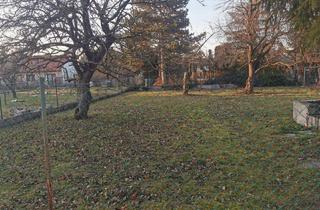 Grundstück zu kaufen in 2521 Trumau, Ihr Eigenheim beginnt hier – idyllisches Grundstück in Trumau﻿