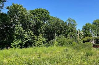 Grundstück zu kaufen in 1170 Wien, Exklusives großes Grundstück am Heuberg in Ruhelage mit Baugenehmigung