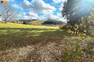 Grundstück zu kaufen in 2392 Sulz im Wienerwald, ++ Ebener Sonnengrund nahe Wien! ++