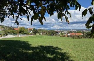 Grundstück zu kaufen in 8054 Graz, Liebe auf den ersten Blick! Herrliches Grundstück mit top Aussicht über Graz mitten im Grünen