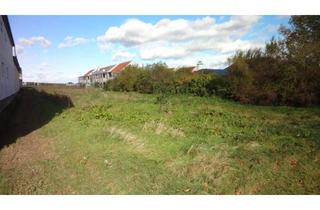 Grundstück zu kaufen in 7122 Gols, Aufgeschlossenes Grundstück in bester Lage am Ortsrand von Gols!