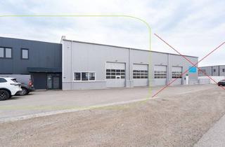 Lager kaufen in 4611 Buchkirchen, Gewerbeobjekt TOP 1 mit Werkstatt und Büros in Buchkirchen zu kaufen!