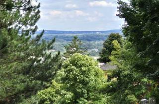 Wohnung kaufen in 2540 Bad Vöslau, Topsaniert wie Erstbezug- Loggia- Teifgaragenstellplatz