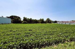 Grundstück zu kaufen in 7400 Oberwart, Attraktives Gewerbegrundstück als BAURECHT im Industriegebiet Oberwart