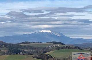 Haus kaufen in 2811 Wiesmath, Kleines Knusperhaus mit Wohnrecht!