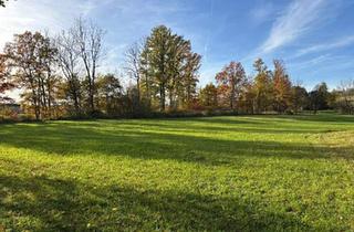 Gewerbeimmobilie kaufen in 4776 Diersbach, Großzügiges Grundstück mit Stallgebäude in Kalling – ideal zur Pferdehaltung