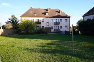 Wohnung kaufen in 2225 Zistersdorf, Familienhit - charmante 3 Zimmer-Wohnung in Ruhelage