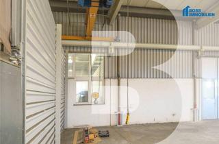 Büro zu mieten in Hobelweg 15, 4055 Pucking, 520 m² Halle mit erstklassiger Verkehrsanbindung