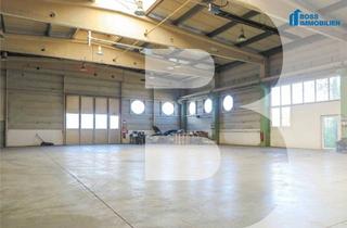 Büro zu mieten in Hobelweg 15, 4055 Pucking, 1.560m² Halle mit erstklassiger Verkehrsanbindung