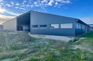 Büro zu mieten in 8403 Lang, ENERGIEEFFIZIENTE GEWERBEHALLE MIT PV- flexibel und perfekt angebunden!