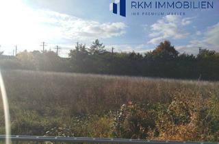 Grundstück zu kaufen in 2500 Baden, Baden (NÖ): 5.630 m² Kleingartensiedlungs-Grundstück – Konzept & Plan vorhanden | 18 Pacht-Interessenten | € 1.126.000