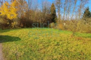 Grundstück zu kaufen in 4540 Bad Hall, Neuer Preis! Ein Grundstück - unzählige Möglichkeiten! Perfekt für Bauträger und private Bauherrn