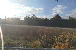 Grundstück zu kaufen in 2500 Baden, Baden (NÖ): 5.630 m² Kleingartensiedlungs-Grundstück – Konzept & Plan vorhanden | 18 Pacht-Interessenten | € 1.126.000