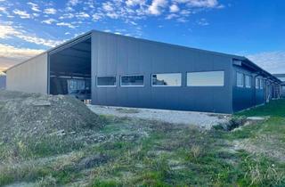 Lager mieten in 8403 Lang, ENERGIEEFFIZIENTE GEWERBEHALLE MIT PV- flexibel und perfekt angebunden!