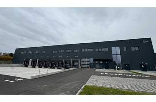 Büro zu mieten in 2100 Korneuburg, Top Logistikfläche nahe Wien zu mieten!