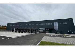 Immobilie mieten in 2100 Korneuburg, Top Logistikfläche nahe Wien zu mieten!
