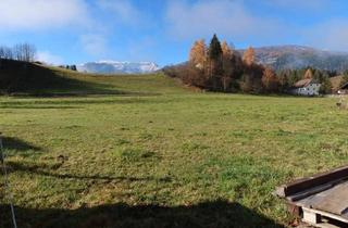 Grundstück zu kaufen in Bruckdorf, 5571 Mariapfarr, Baugrundstück in Mariapfarr/Bruckdorf