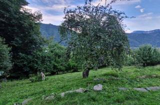 Grundstück zu kaufen in 8132 Pernegg, Grundstück mit Traumaussicht in Hanglage