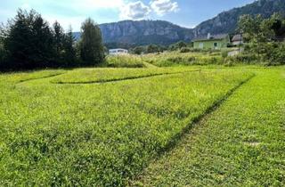 Grundstück zu kaufen in 2724 Stollhof, Traumhaftes Baugrundstück in bester Lage - Natur pur & Weitblick inklusive!
