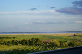 Wohnung kaufen in Obere Hauptstraße 72, 7093 Jois, Dachgeschosswohnung mit Blick auf den Neusiedlersee + Weingärten