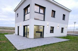 Haus mieten in 2284 Untersiebenbrunn, Modernes Einfamilienhaus mit großem Garten