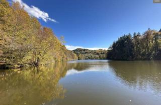 Haus kaufen in Volksschule Thal, Unimarkt, 8051 Thal, Großer Pool - PV Anlage - schöne Gartenanlage - DER besondere Bungalow in der Nähe vom Thalersee im Grazer Naherholungsgebiet
