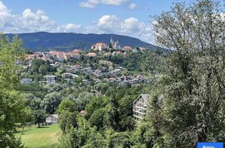 Wohnung kaufen in 9330 Althofen, Perfekte Starterwohnung in idyllischer Grünlage
