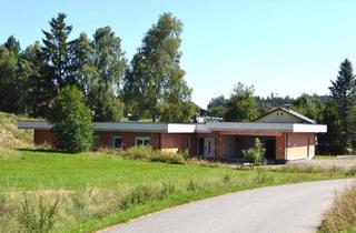 Haus kaufen in 3863 Reingers, Weitläufiger Bungalow in Reingers – Wohnen in Ruhe & Natur