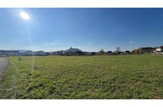 Grundstück zu kaufen in 7540 Güssing, Großes Baugrundstück (ca. 1 ha) in Güssinger Ortsrandlage!