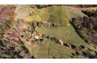 Gewerbeimmobilie kaufen in 8462 Gamlitz, Weingarten mit Landwirtschaft und Altbestand in Kranach, Gemeinde Gamlitz