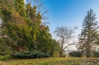 Grundstück zu kaufen in 1190 Wien, Sieveringer Villenlage: Weitblick, perfekte Ausrichtung und jede Menge Privatsphäre