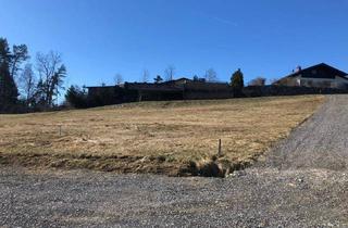 Grundstück zu kaufen in 8144 Haselsdorf, Baugrundstück mit 799 m² in Haselsdorf