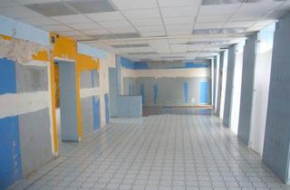 Lager mieten in 1230 Wien, Helles Lager mit 131 m² in Wien Ebenerdig mit Ladezone