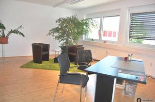 Büro zu mieten in 7400 Oberwart, Oberwart Zentrum: Helles Büro zu mieten!